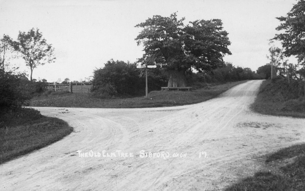 An old photo of a crossroads with trees